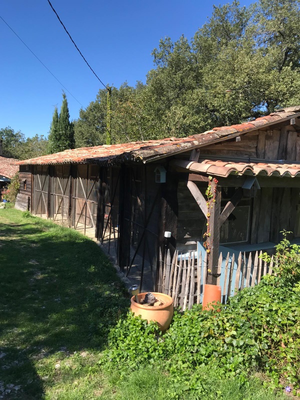 Photo of the accommodation