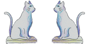 2 cats
