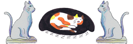 3 cats
