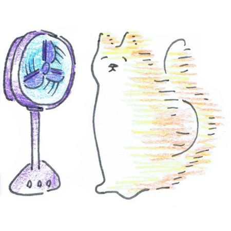 Cool cat