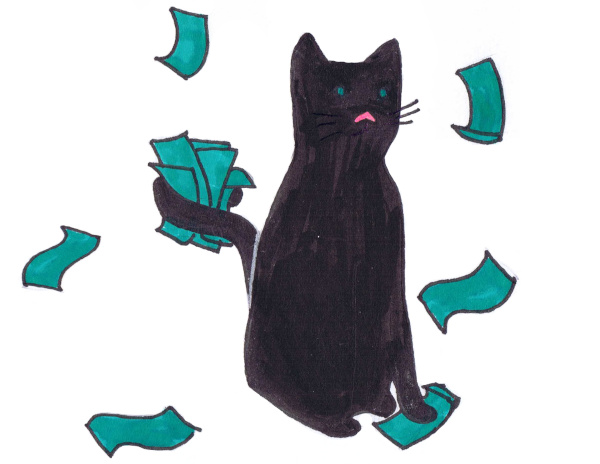 Cat counting the cash