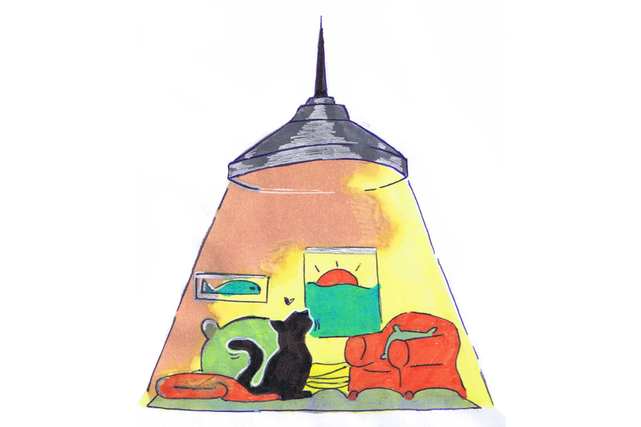 warm cat under a heat lamp