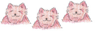 3 cats
